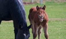 90年属马32岁有一劫 可能破财遇难