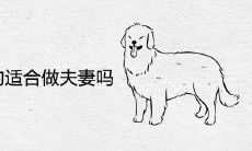 属狗和属鼠的适合做夫妻吗