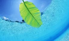 廉海建姓名评分85分