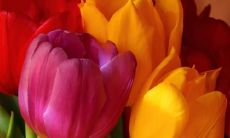 庞丙泉姓名评分84分