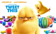 盛磊俊姓名评分79分