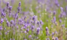 曹吉坤姓名评分78分