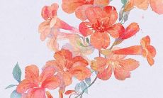 2022年1月13日穿什么颜色衣服好 五行穿衣最佳色