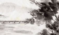 2022年1月23日穿什么颜色衣服好 五行穿衣最佳色