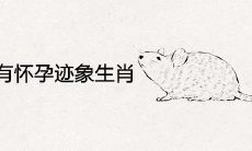 2021年有怀孕迹象的生肖