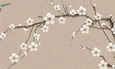 2022年11月16日宜外出游玩吗 出行日子好吗