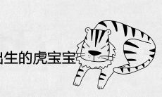 2022年五月份出生的虎宝宝