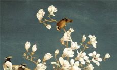 2022年11月15日适合出门游玩吗 出行日子查询