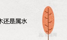 1973年属木还是属水 一生命运怎么样