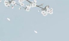 2022虎年11月几号出行最吉利 出门大吉日