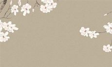 2022年11月22日小雪可以出门吗 是出行上等吉日吗