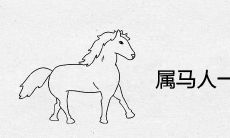 属马人一生的贵人生肖