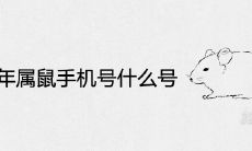 72年属鼠手机号什么号好招财 旺运旺财的吉祥数字