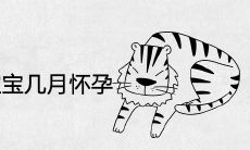 2022年正月生虎宝宝几月怀孕