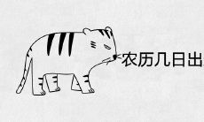 农历几日出生的属虎人财运好