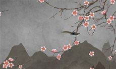 2022年11月20日出行日子好不好 今日日子吉利吗