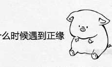 95年猪什么时候遇到正缘 注定婚配对象是谁