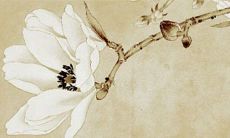 2022年10月生肖属鸡上等入宅黄道日子查询 这几天搬家很不错