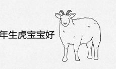 91属羊2022年生虎宝宝好吗