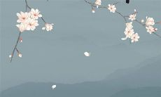 2022年11月6日适合入宅吗 入新宅吉利吗