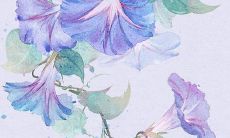 每日五行穿衣分享:2022年1月14日穿衣最佳幸运色