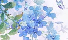 今日五行穿衣:2022年1月11日穿什么颜色旺运势