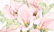 五行穿衣旺运:2022年1月16日穿衣幸运色搭配分享