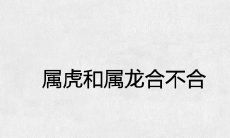 属虎和属龙合不合