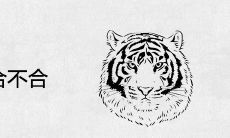 属虎和属蛇合不合