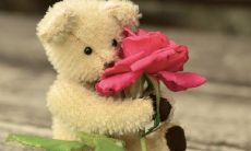 2022年虎女宝宝名字寓意好很吉祥的有哪些