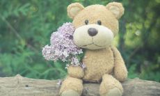 2022年属虎女孩最吉利的名字