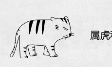 属虎和属虎合不合