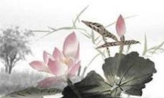 除夕前一天是大寒吗 大寒除夕春节相连的节气常见吗