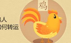 81属鸡人的灾难年龄如何转运