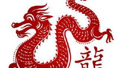 属龙人在2023年的最佳合作伙伴是谁