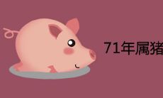 71年属猪49和50岁命运有何变化