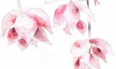 新年语录经典语录2023 2023年新年祝福语简短