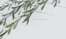 大年初三老鼠嫁女儿的故事 提早熄灯洒落米粒供“分钱”