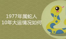1977年属蛇人10年大运情况如何