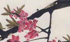 春节和除夕哪个是过年 除夕和春节有什么区别