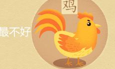 属鸡生在哪个月最不好命最薄