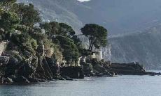 1988年出生的属龙的人2022年多大了 1988年属龙人2022年运势及运程怎么样