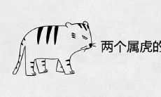 两个属虎的人结婚后果