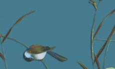 2022虎年8月份宜出行游玩的吉利日子 出游佳期