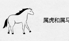 属虎和属马合不合