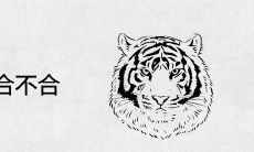 属虎和属狗合不合
