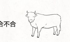 属牛和属龙合不合