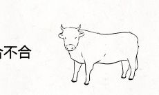 属牛和属狗合不合