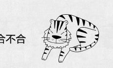 属虎和属鸡合不合