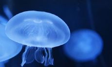 2022洋气女孩名字有哪些